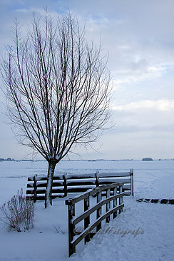polder-sneeuw-border